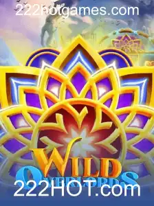 Análise Completa do Jogo WildOverlords e Sua Evolução na 222HOT.com